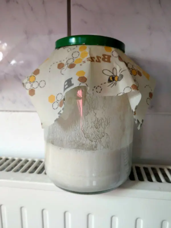 Ein Glas mit Dinkel-Sauerteig steht auf einem Heizkörper, bedeckt mit einem bunten Tuch zur Fermentation.