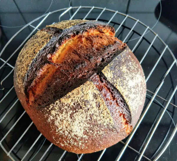 Ein frisch gebackenes Dinkel-Sauerteigbrot liegt auf einem Kuchengitter, während es abkühlt und seine knusprige Kruste zeigt.