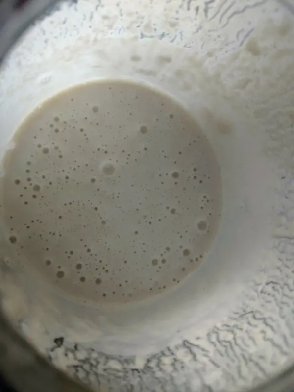 Dinkel-Sauerteig blubbert in einem Glas, bereit zum Backen von Dinkelbrot, mit einer cremigen, luftigen Textur.