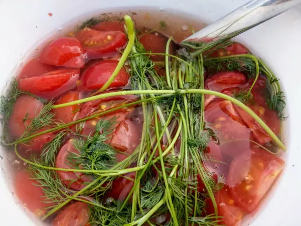 Eingelegte Tomaten mit Dill und Knoblauch schwimmen in einer marinierten Flüssigkeit in einer Schüssel.