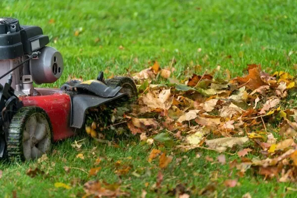 RRRRRRRR … Mähe einfach einmal mit dem Rasenmäher über das Herbstlaub, bevor du es in den Laubkompost packst. Damit beschleunigst du den Kompostierprozess. 