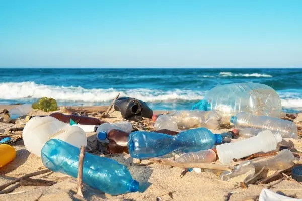 Wie der Flaschenboden aussieht, ist ganz egal: PET-Flaschen gehören ins Recycling – und nicht ins Meer. 