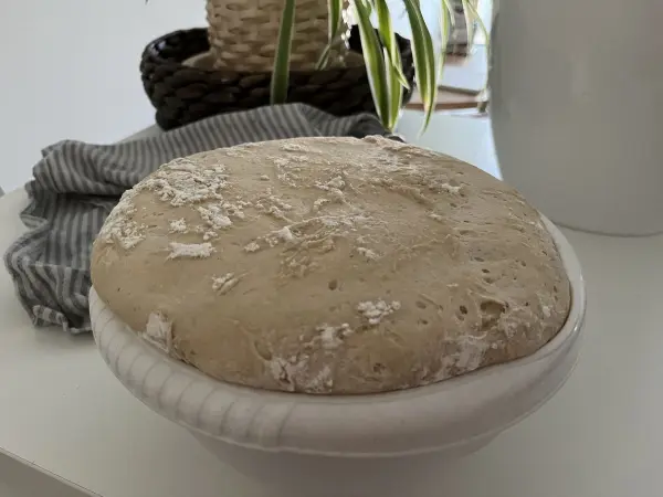 Ein frisch gekneteter Pizzateig ruht in einer Schüssel auf einem Tisch, umgeben von einem Geschirrtuch und Pflanzen.