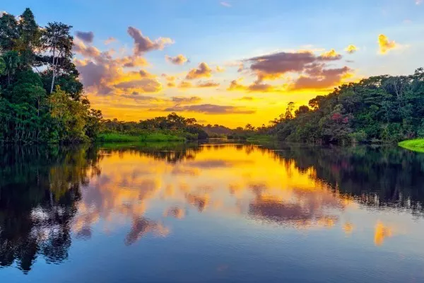 Wunderschön - aber sehr gefährlich - ist die Gegend um den Fluss Amazonas, aus der der Schocker stammt. Auch Piranhas gibt es dort