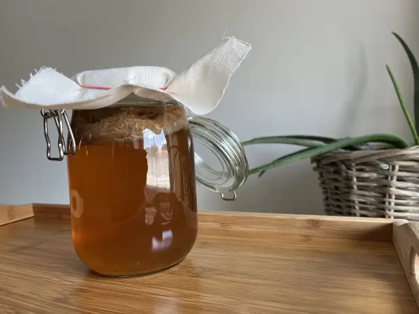 Ein Glas mit fermentiertem Kombucha steht auf einem Holztablett, während ein Pflanze im Hintergrund sichtbar ist.