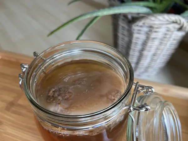 Ein Glas mit fermentiertem Tee-Getränk zeigt eine kombucha SCOBY auf der Oberfläche, umgeben von einem hellen, natürlichen Raum.