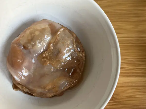 Ein SCOBY schwimmt in einer weißen Schüssel, bereit für die Fermentation zur Herstellung von Kombucha.