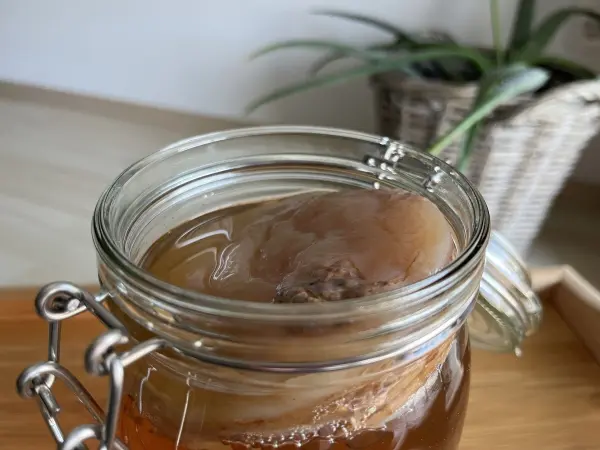 Ein Glas mit Kombucha zeigt eine SCOBY-Scheibe, die in fermentiertem Tee schwimmt, umgeben von einem hellen Raum mit Pflanzen.
