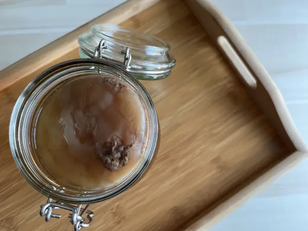 Ein Glas mit Kombucha zeigt die fermentierte Teemasse, die auf einem Holztablett steht und im Prozess der Fermentation ist.