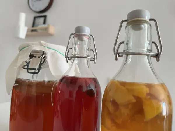 Drei Flaschen mit fermentiertem Tee-Getränk stehen nebeneinander, eine der Flaschen ist mit einem Tuch abgedeckt.