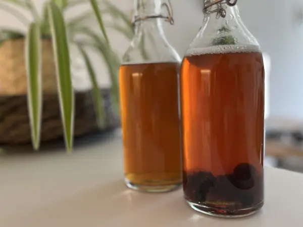 Glasflaschen mit Kombucha stehen auf einem Tisch, gefüllt mit sprudelndem, bernsteinfarbenem Getränk und Beeren.