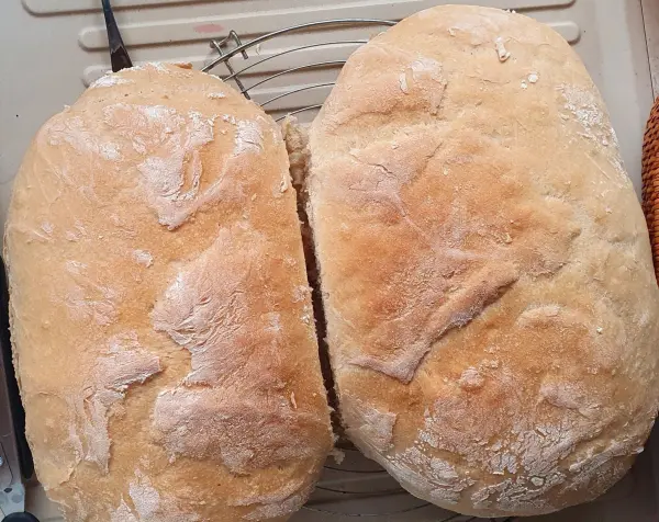 Zwei frisch gebackene Dinkel-Ciabatta-Laibe ruhen auf einem Gitter, um abzukühlen, mit goldbrauner, grober Kruste.