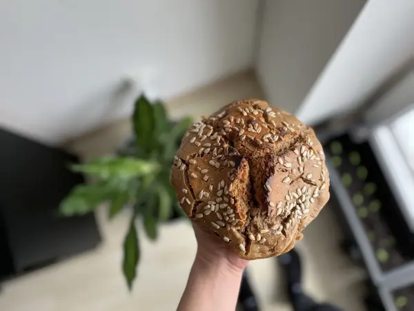 Ein handgehaltenes, frisch gebackenes Roggenvollkorn-Sauerteigbrot mit Kruste und Samen vor einem grünen Pflanzenelement.