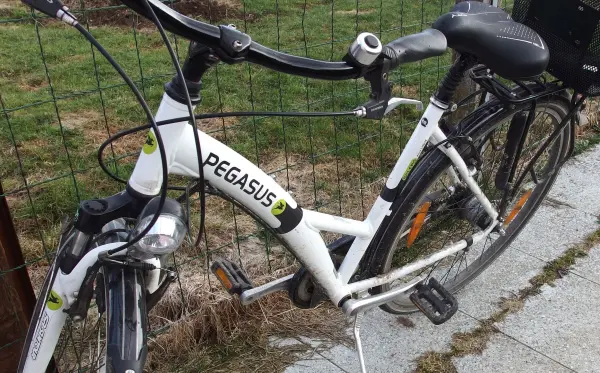 Ein sauberes Fahrrad steht neben einem Grasbereich, während es mit Backofenreiniger geputzt wird, um Schmutz zu entfernen.