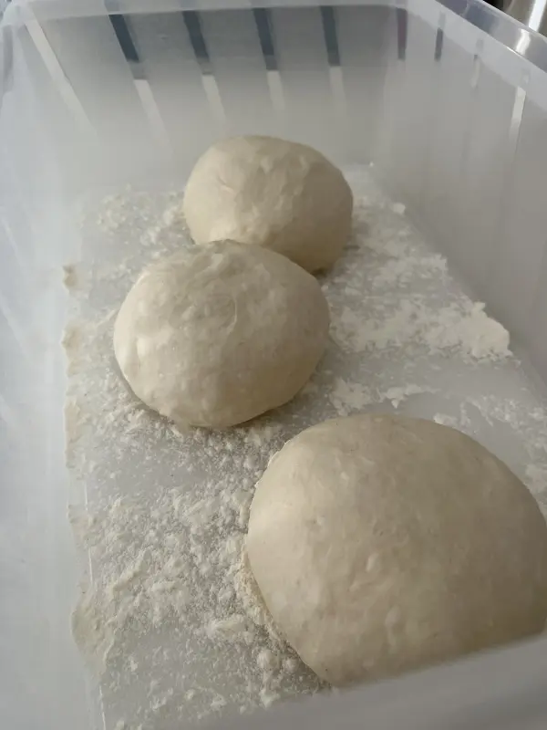 Drei gleichmäßige, runde Pizzateigkugeln ruhen in einer Mehl-bedeckten Kunststoffbox und warten auf die Weiterverarbeitung.