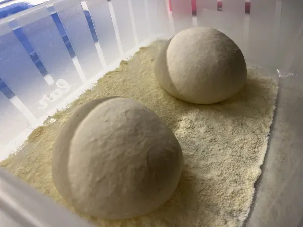 Zwei runde Pizzateigbälle ruhen auf Mehl in einem Container, bereit zum Ausrollen für die Zubereitung von Pizza.