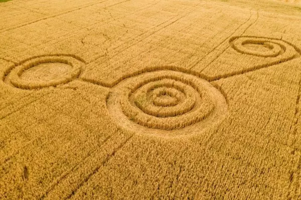 War's das UFO - oder doch der Nachbar mit dem Rasenmäher? Die Muster in Kornfeldern lassen jedes Jahr viele Menschen rätseln.