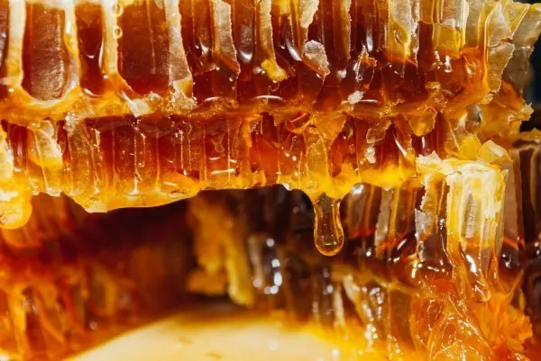 Ohne Honig kein Honigwein. Entscheidest du dich für Bio-Qualität aus der Region, machst du auf jeden Fall alles richtig.