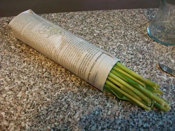 Eine Gruppe von Tulpenstielen steckt in einer Zeitung, die auf einer Granitoberfläche liegt, um frisch zu bleiben.