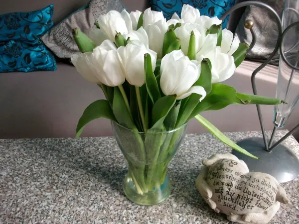 Weiße Tulpen stehen frisch im Glas, während sie in einem Wohnzimmer auf einem Tisch zwischen Deko-Elementen arrangiert sind.