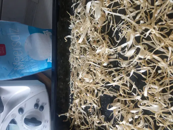 Ein Haufen von Spargelschalen liegt auf einem schwarzen Blech, während ein Päckchen Meersalz daneben steht.