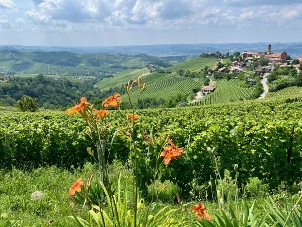 Bella Italia – neben pittoresken Landschaften, leckerem Essen und tollen Weinen haben die Italiener Bernhards Herz auch mit unerwarteter Bescheidenheit erobert.