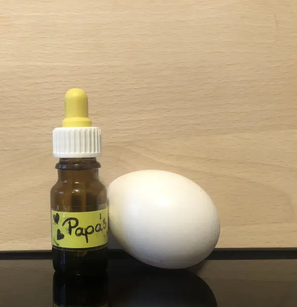 Ein braunes Glasfläschchen mit gelber Pipette steht neben einem weißen Ei auf einer Holzplatte.