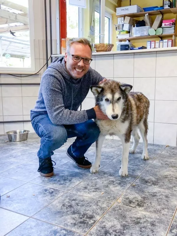 Der Senior-Schlittenhund Tyson hat sein zu Hause im Tierheim gefunden. Da er schon ein paar Jahre auf dem Buckel hat, wird er nicht mehr vermittelt. Wie schön, dass er nun eine Patenschaft hat. 