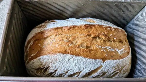Ein frisch gebackenes Dinkel-Weizen-Roggenbrot liegt in einer Backform und zeigt eine knusprige Kruste mit Mehlstaub.