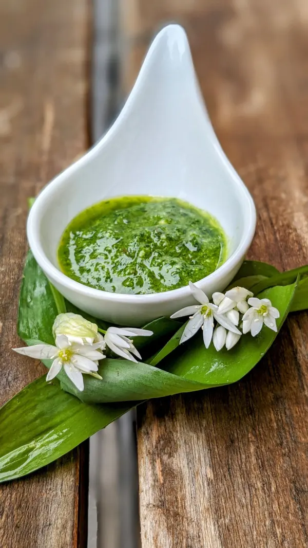 Ein weißes Schälchen mit Bärlauchpesto steht auf Holz, umgeben von frischen Bärlauchblättern und kleinen, weißen Blüten.