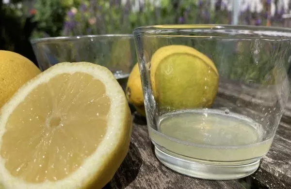 Zitronensaft pur schlägt häufig auf den Magen. In Kombination mit Wasser wirkt er dagegen sogar basisch und gegen Sodbrennen.