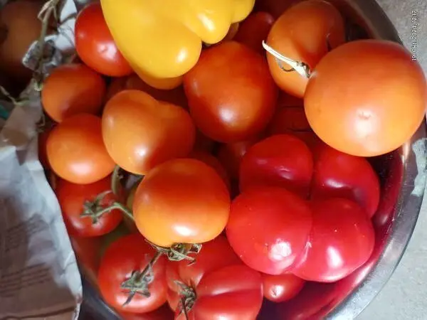 Rote und orangefarbene Tomaten liegen zusammen mit einer gelben Paprika in einer Schüssel auf einer Arbeitsplatte.