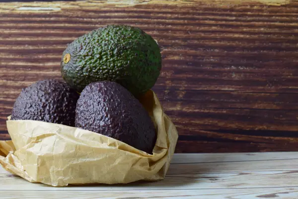 Mit der richtigen Lagerung hältst du deine Avocados länger frisch.