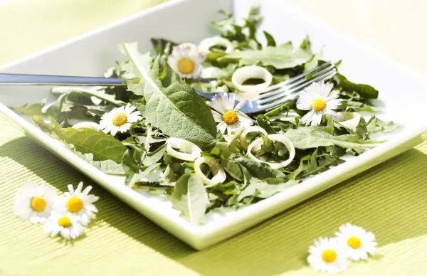 Frische Wildkräuter wie Löwenzahn und Gänseblümchen bringen im Juni Abwechslung auf deinen Teller - hier ein Löwenzahnsalat.