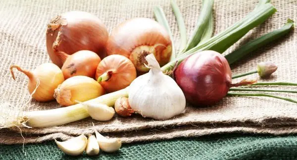 Halte deine Darmflora mit präbiotischen Lebensmitteln wie Lauch, Zwiebeln und Knoblauch im Gleichgewicht.