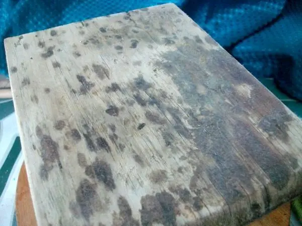 Am Ende das Insektenhotel aus Holz mit dem elektrischen Schleifer abgeschliffen, sodass ich wenigstens eine glatte, nicht mehr klebrige Fläche bekam.