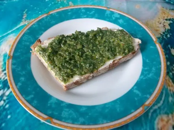 Ich genieße Pesto sehr gerne auf Butterbrot als Brotaufstrich, aber auch als Pastasoße oder als Dip schmeckt es köstlich.