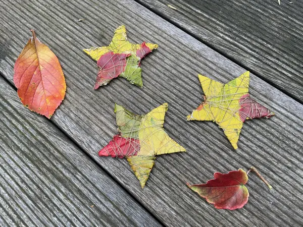 Mit buntem Herbstlaub, Messingdraht und Pappe kannst du ganz einfach dekorative Sterne basteln.