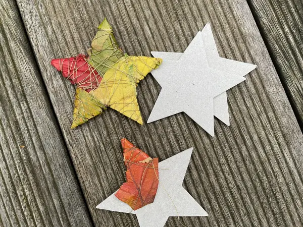 Bastle bunte Sterne aus Herbstlaub, Draht und Pappe – im Artikel findest du die DIY-Anleitung.