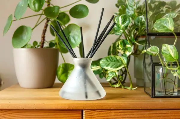 Entdecke verschiedene Duftkombinationen und entscheide über deine individuellen selbstgemachten Diffuser-Duftstäbchen. Entdecke verschiedene Duftkombinationen und entscheide über deine individuellen selbstgemachten Diffuser-Duftstäbchen.