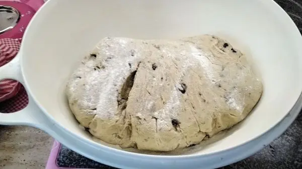 Den fertigen Stollenteig muss man erst mal ein bisschen gehen lassen. Da er schwer ist, dauert das etwas länger. Den fertigen Stollenteig muss man erst mal ein bisschen gehen lassen. Da er schwer ist, dauert das etwas länger.