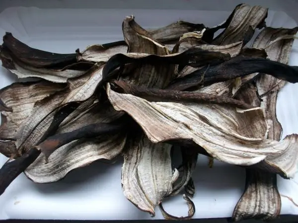 So sahen meine fünf Bananenschalen nach dem Trocknen aus. Das Trocknen ging relativ schnell auf der Heizung. So sahen meine fünf Bananenschalen nach dem Trocknen aus. Das Trocknen ging relativ schnell auf der Heizung.