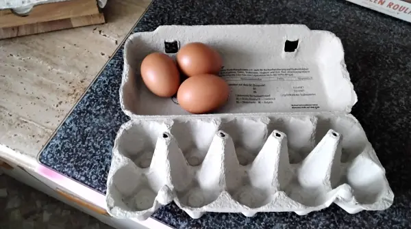 Der Trick ist so simpel, denn ich lege den Eierkarton auf den Kopf und die Eier liegen nun im Deckel.