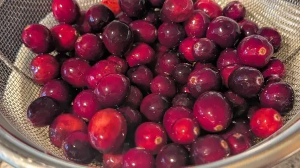 Nach dem Durchziehen &uuml;ber Nacht in ein Sieb gie&szlig;en und abtropfen lassen.