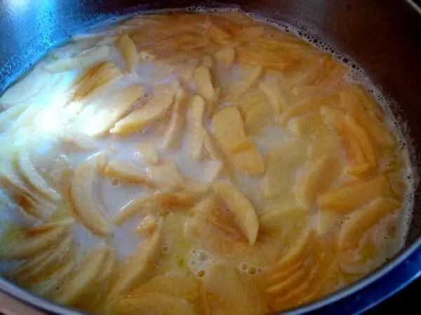 Ich hatte ja noch &Auml;pfel zu den Dampfnudeln in den Topf gegeben. Leider sah das dann nicht gut aus am Ende. Der Geschmack war jedoch gut.