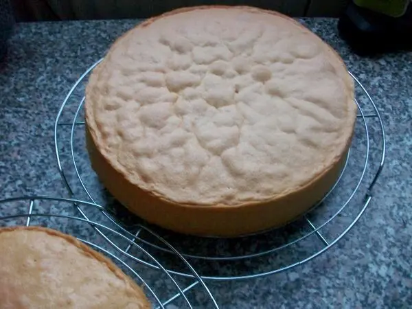 Mein Biskuitboden, Teil Eins. Das ergab dann aufgeschnitten drei Biskuitbo&ouml;en f&uuml;r die Torte.