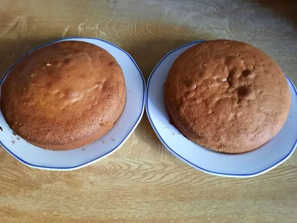 Hier zu sehen sind zwei Pistazientortenb&ouml;den, die nach dem Erkalten von Hand geteilt wurden.