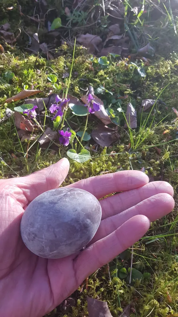Wenn die Schale unbesch&auml;digt ist, halten sich mit Holundersaft nat&uuml;rlich gef&auml;rbte Ostereier gek&uuml;hlt mehrere Wochen.