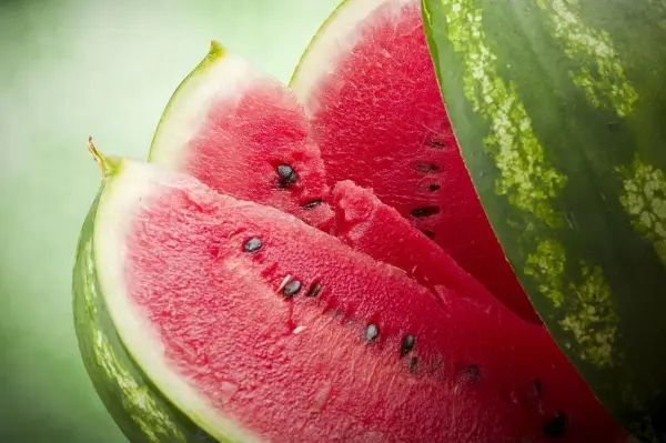 Wassermelone, in Scheiben geschnitten, mit dunkelgrüner Schale und roten Kernen. Frisches Fruchtfleisch im Sommerkontext.