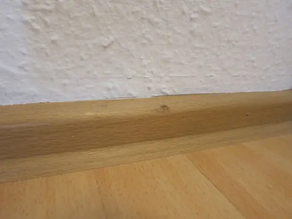 Sockelleisten aus Holz stehen sauber und ohne Streifen, während der helle Boden und die weiße Wand den Raum auflockern.